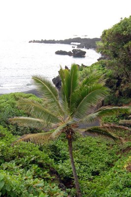 DSC_0922.JPG