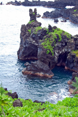 DSC_0945.JPG