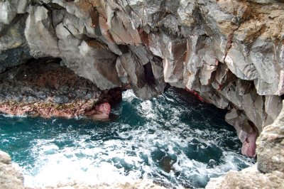 DSC_0956.JPG
