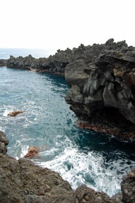 DSC_0957.JPG