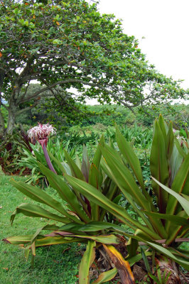 DSC_0967.JPG