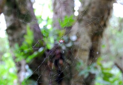 DSC_0971.JPG