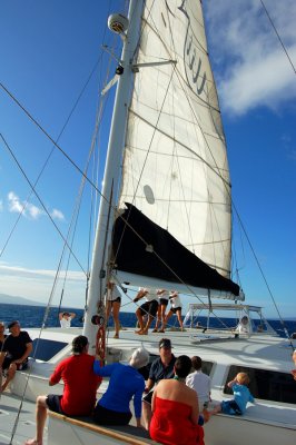 DSC_1011.JPG