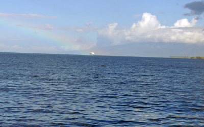 DSC_1014.JPG