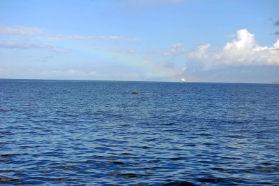 DSC_1015.JPG