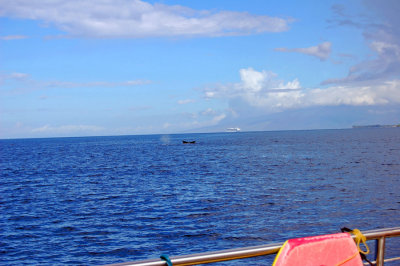 DSC_1023.JPG