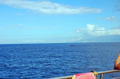 DSC_1024.JPG