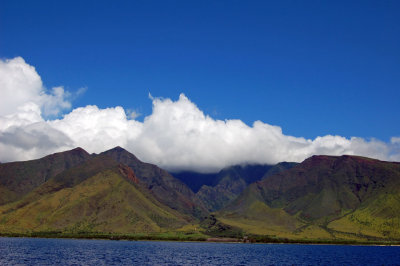 DSC_1027.JPG