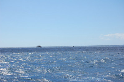 DSC_1034.JPG