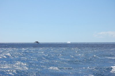 DSC_1035.JPG