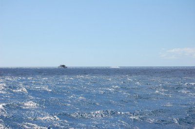 DSC_1036.JPG