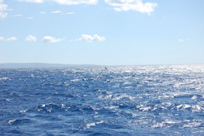 DSC_1039.JPG