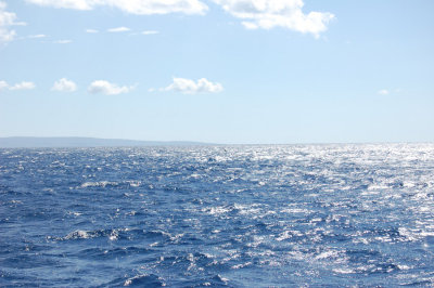 DSC_1040.JPG