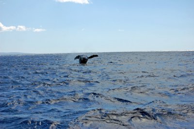 DSC_1043.JPG