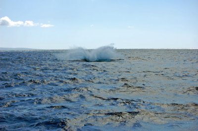 DSC_1044.JPG