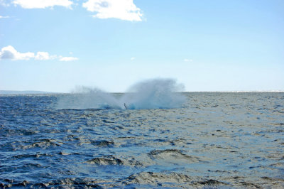 DSC_1045.JPG