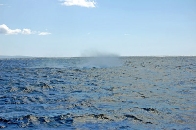 DSC_1046.JPG