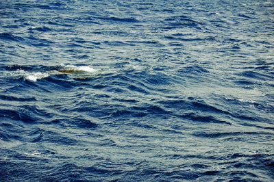 DSC_1049.JPG