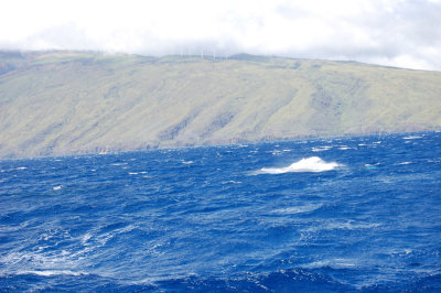 DSC_1058.JPG