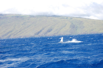 DSC_1059.JPG