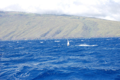 DSC_1060.JPG