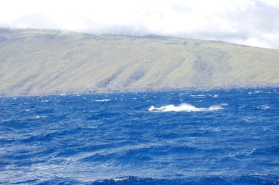 DSC_1061.JPG
