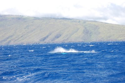 DSC_1062.JPG
