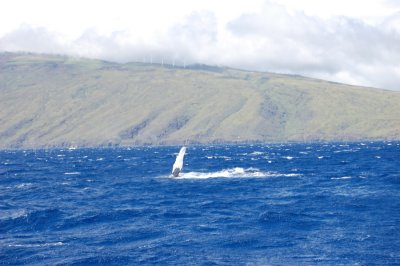 DSC_1063.JPG