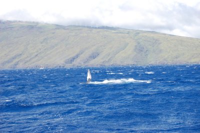 DSC_1064.JPG