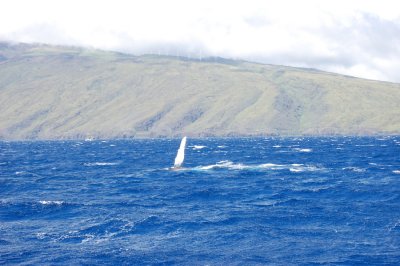 DSC_1065.JPG
