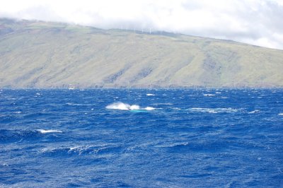 DSC_1066.JPG
