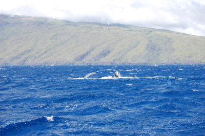 DSC_1067.JPG