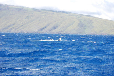 DSC_1068.JPG