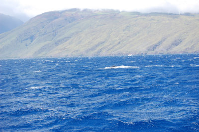 DSC_1069.JPG