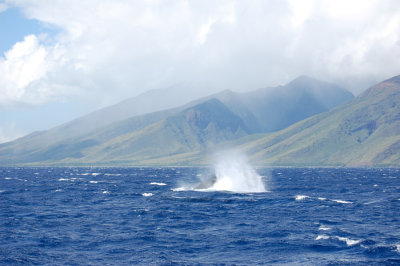 DSC_1070.JPG
