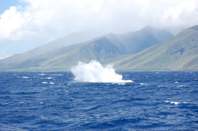 DSC_1071.JPG