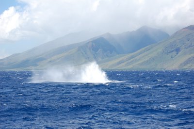 DSC_1073.JPG