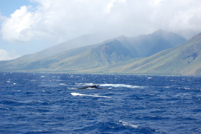 DSC_1074.JPG