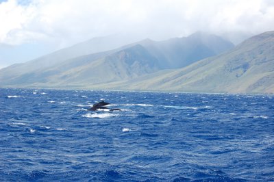 DSC_1075.JPG