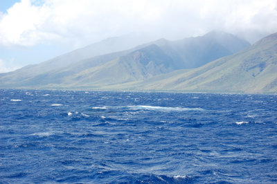 DSC_1077.JPG