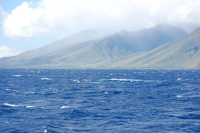 DSC_1078.JPG
