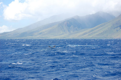 DSC_1079.JPG