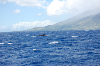 DSC_1081.JPG
