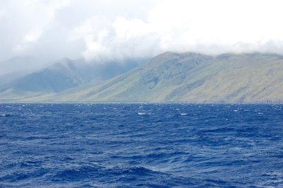 DSC_1084.JPG