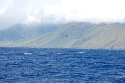 DSC_1085.JPG