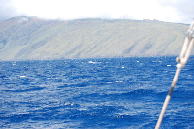 DSC_1093.JPG