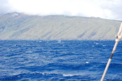 DSC_1094.JPG