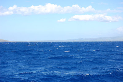 DSC_1095.JPG