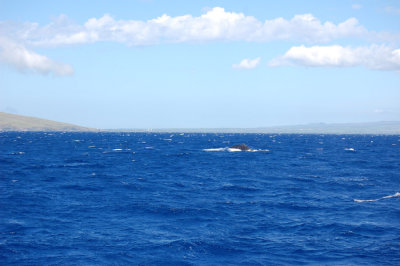 DSC_1096.JPG