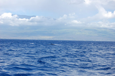DSC_1099.JPG